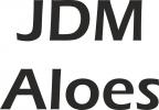 JDM Aloes Keilriemen