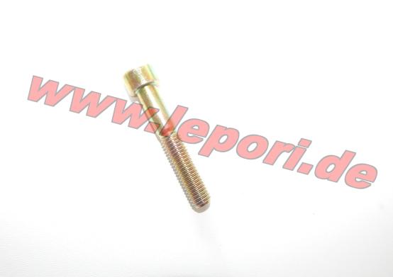 Inbusschraube Bremssattel hinten Ligier