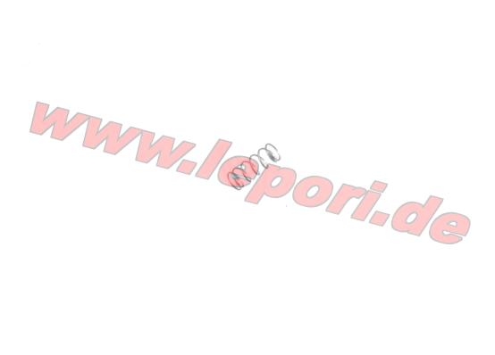 Feder Variatorgewicht - Motorvariator
