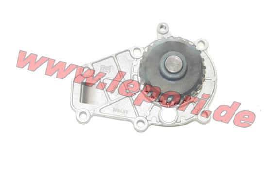 Wasserpumpe Lombardini DCI - Original