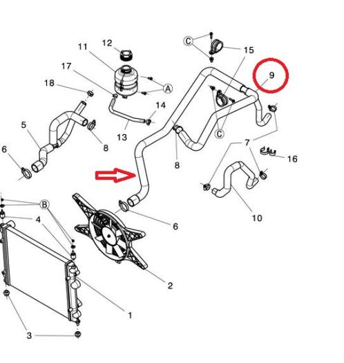 Kühlerschlauch unten + T-Stutzen - Ligier mit DCI-Motor