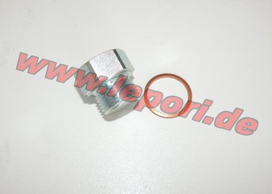 Ölablassschraube Lombardini LDW 502