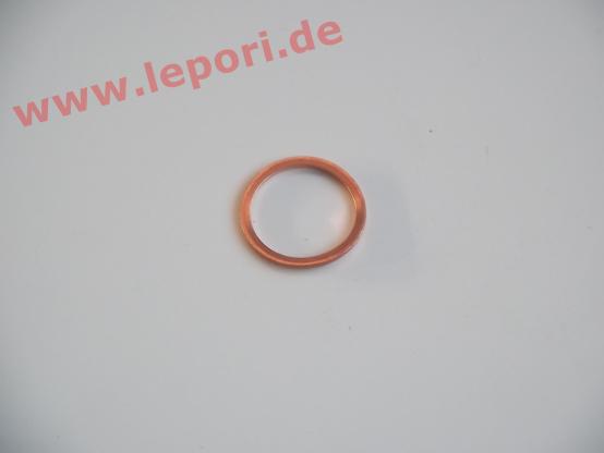 Dichtring Ölablassschraube Lombardini LDW 502 und DCI