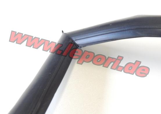 Windschutzscheibendichtung Ligier IXO