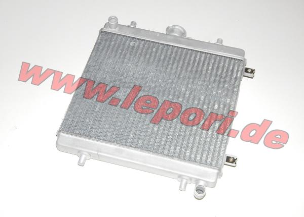 Kühler Grecav mit Lombardini LDW 502-Motor