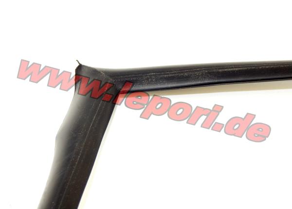 Windschutzscheibendichtung Ligier X-Too RS (JS44)