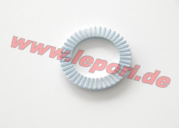ABS-Ring Aixam