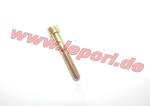 Inbusschraube Bremssattel hinten Ligier