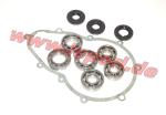 Reparatursatz Stilfreni-Getriebe - Ligier