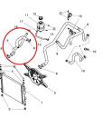Kühlerschlauch oben + T-Stutzen - Ligier/Microcar mit DCI-Motor