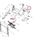 Kühlerschlauch unten + T-Stutzen - Ligier mit DCI-Motor